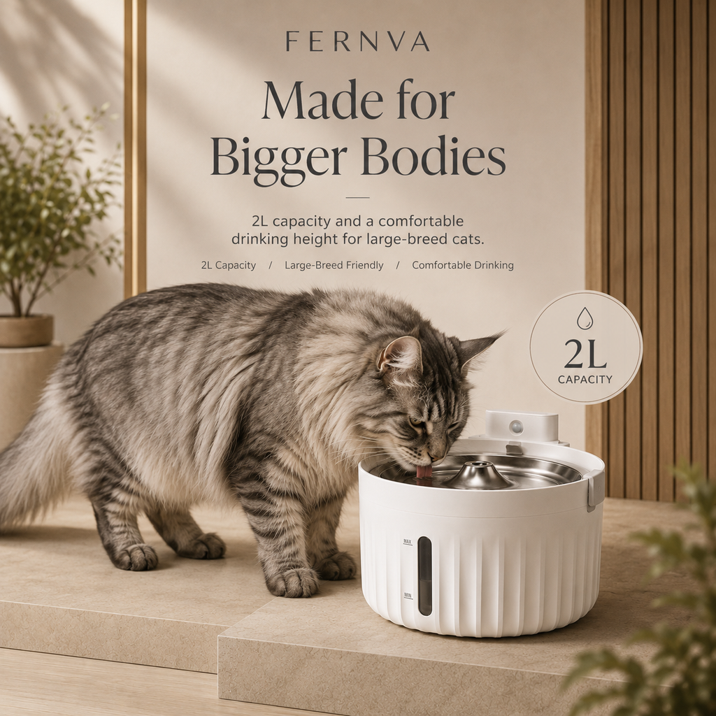 FERNVA Large Cat Water Fountain – 2L Automatic Pet Drinking Fountain with Dual Power & Filtered Circulating Water System